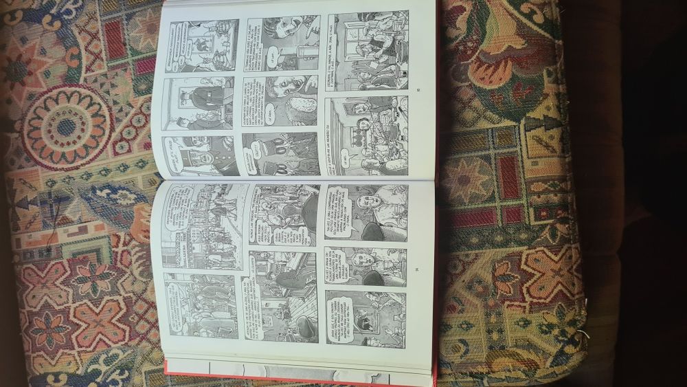 Novela Gráfica "A Arte de Voar".