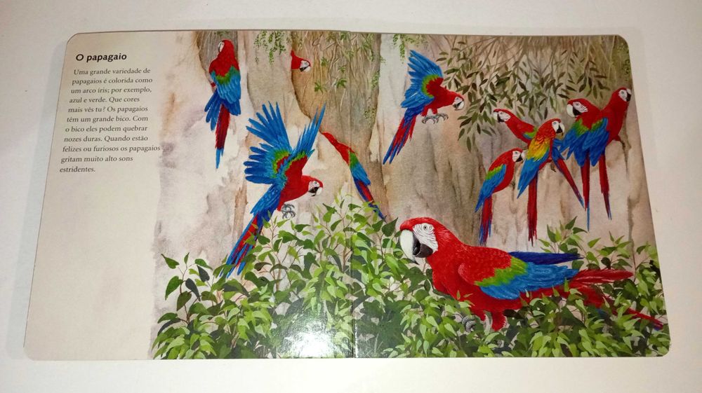 O meu adorado livro de animais com imagens