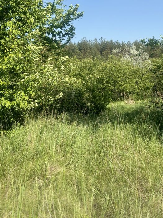 Продам земельну ділянку