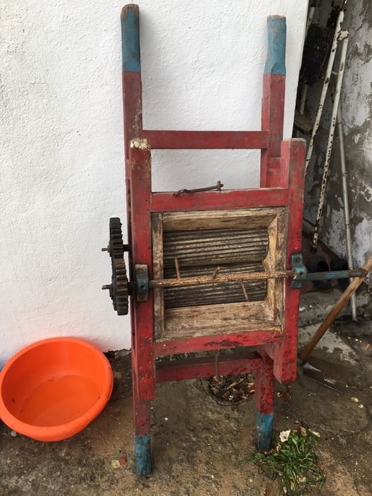 Artigo rústico de Uvas