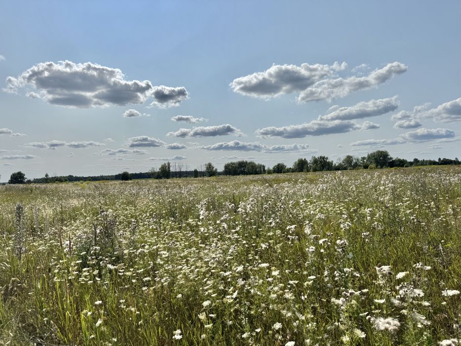 Земельна ділянка 5,9 га! Колонщина!