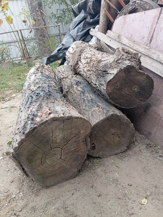 Горіх стовбур сухий