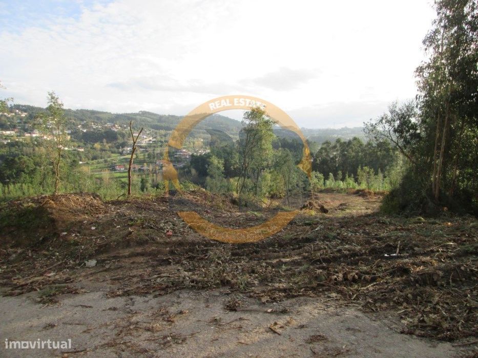 Terreno em Oliveira de Azeméis