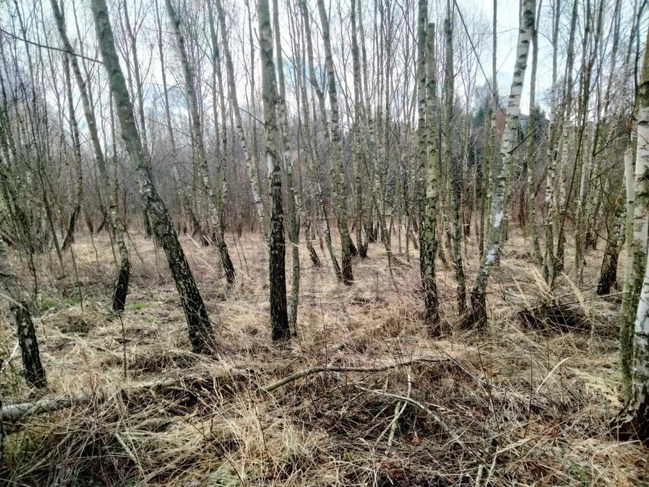 Sprzedam działkę budowlaną 12 ar (bez pośredników)