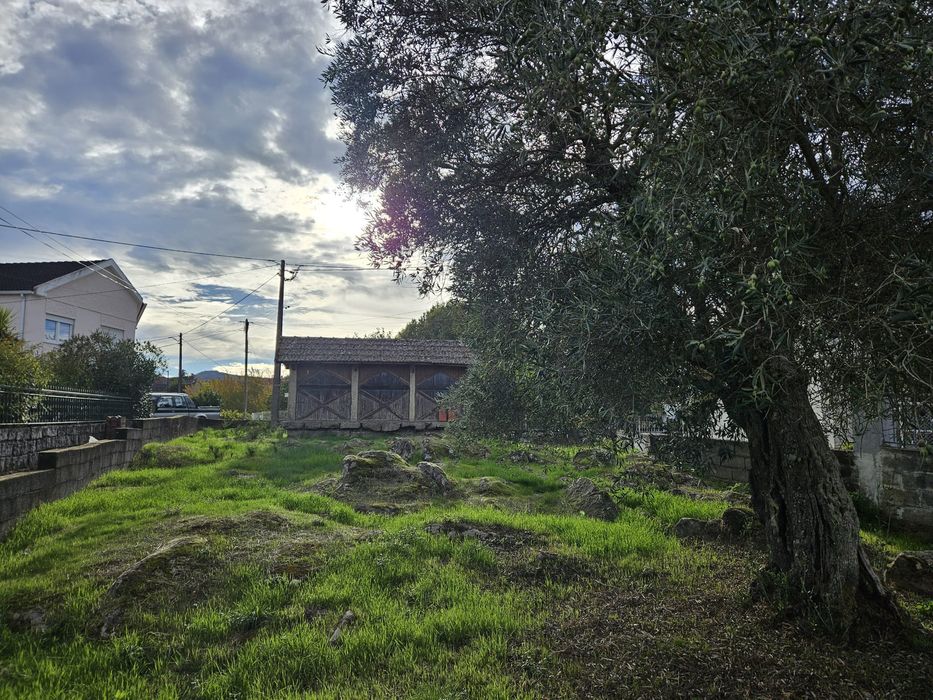Lote para casa, jardim e quintal com canastro