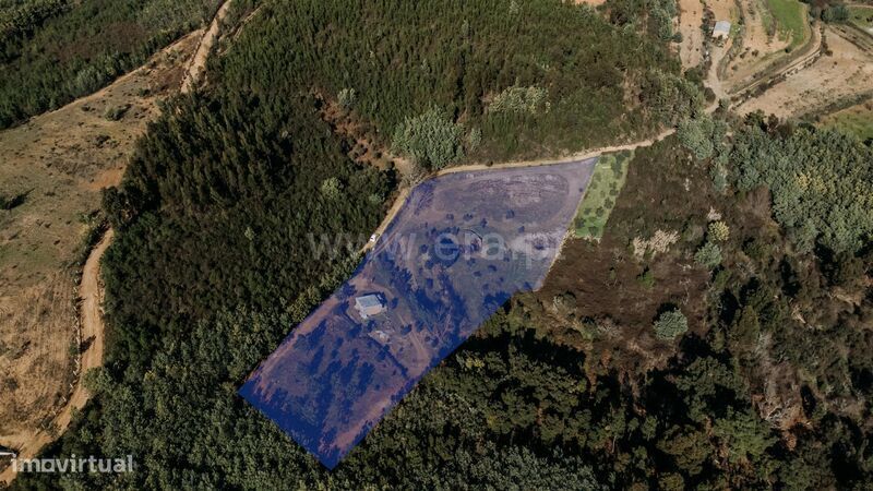 Quintinha Estúdio / Covilhã, Peso