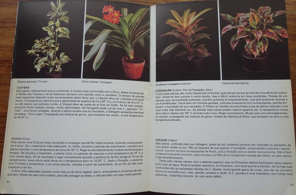 Plantas de Interior de Rob Herwig