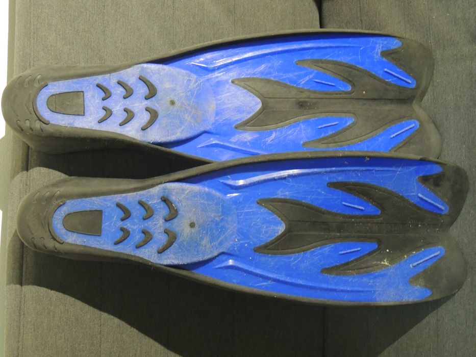 Pe de pato nadadeiras