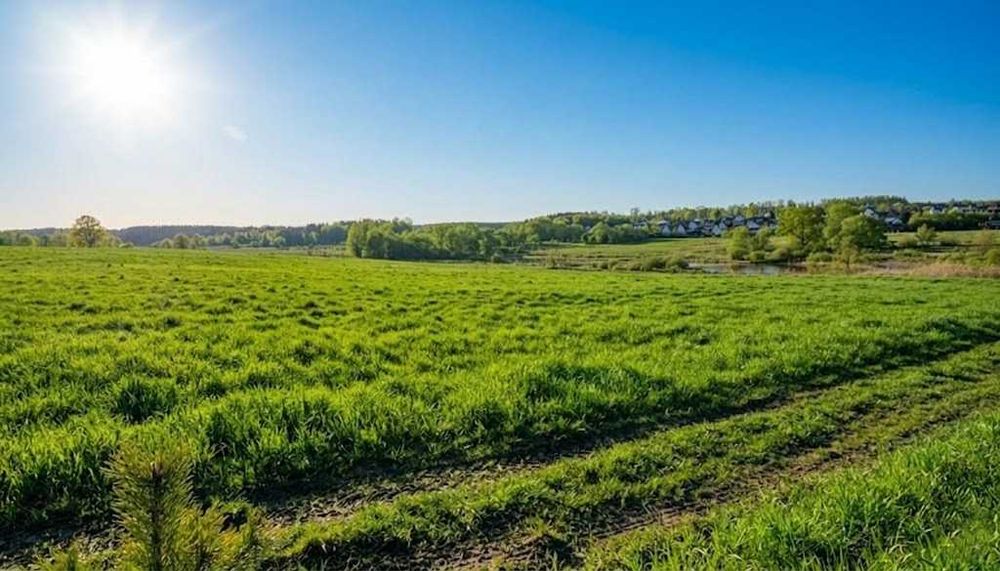 Продаж ділянки для будівель, закладів освіти 1,70га. Ястремщина.ID:771