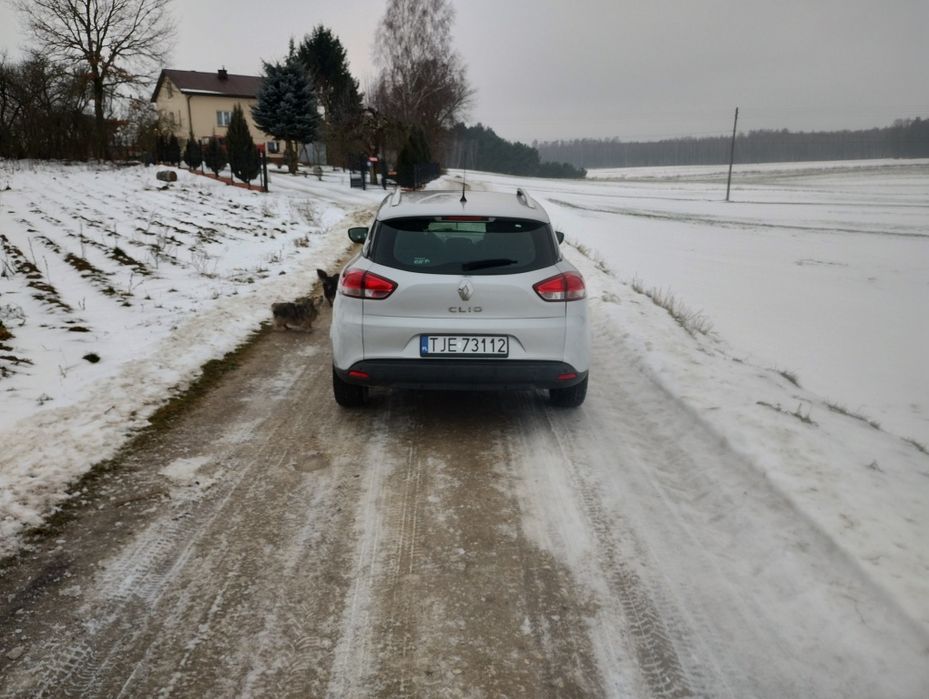 Renault Clio IV 2017