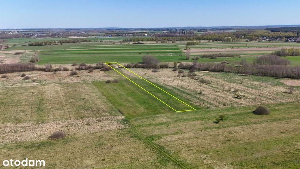 Działka rolna – Gorzędów, gm. Kamieńsk – 4863 m² - Widok 2