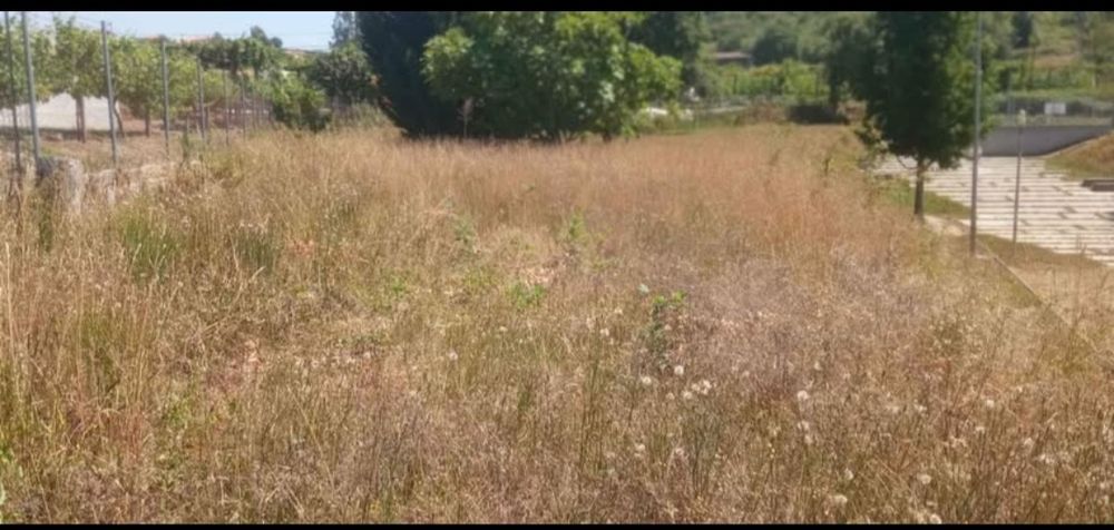 Limpezas de  terrenos.