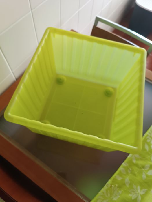 Caixa de armazenamento verde