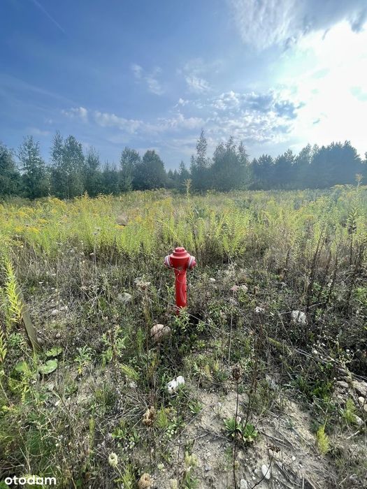 Bezpośrednio - sielska działka nad stawem koło lasu - 26km od Warszawy