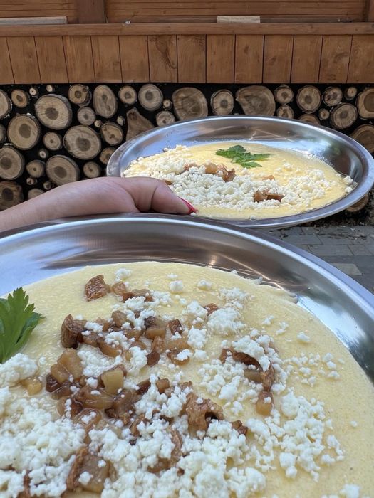 Приватна садиба «Forest House» Закарпаття (чан,сауна,відпочинок)