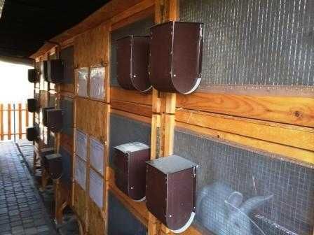 Клетка для кроликов, кролеферма, ШЭД, мини-шэд, шед для кроликов