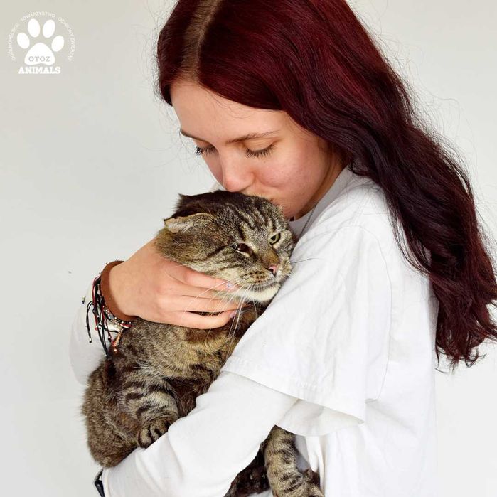 Spokojny Bahavas czeka na dom!