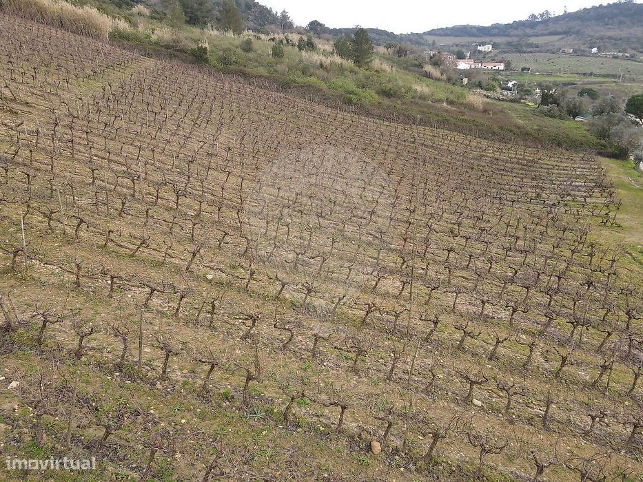 Terreno  para venda