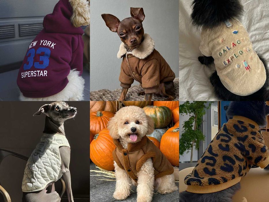 ОДЯГ ДЛЯ СОБАК | комбінезони | жилетки | куртки | кофти