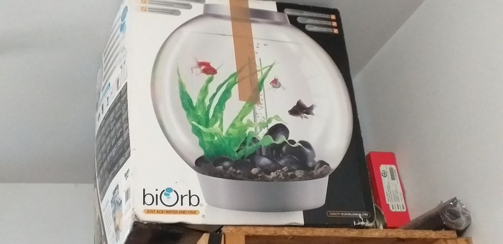 Akwarium Biorb 60 L