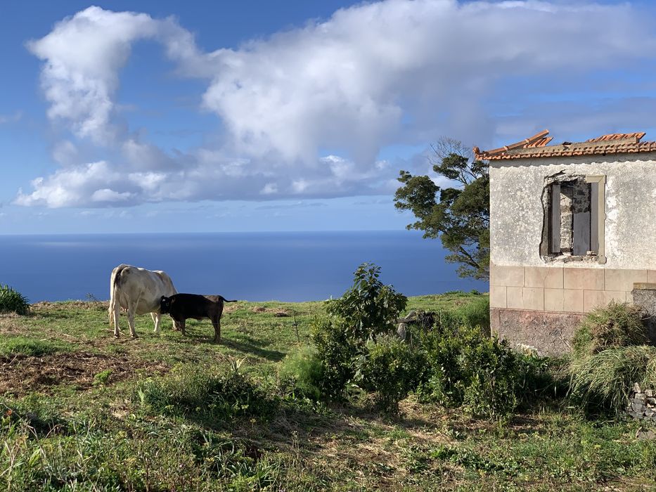 Pentax K-S2 z obiektywem Pentax 18-135 mm