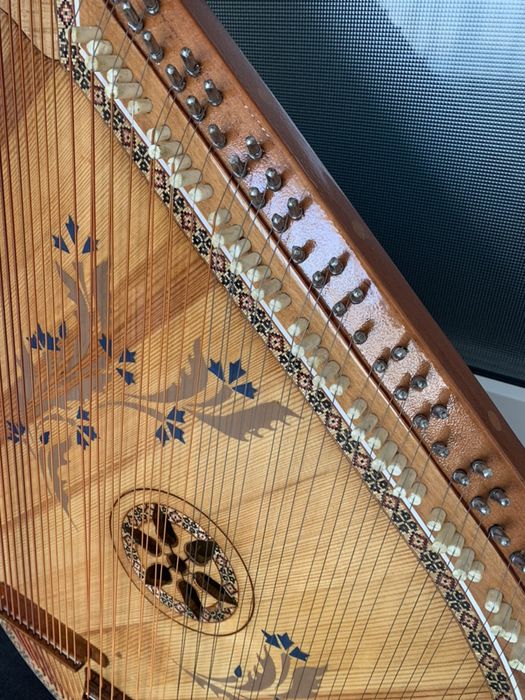 Бандура чернігівська проста !