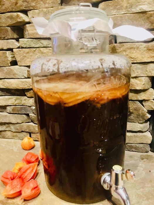 Kombucha Grzyb Herbaciany 10 cm + starter+ ulotki