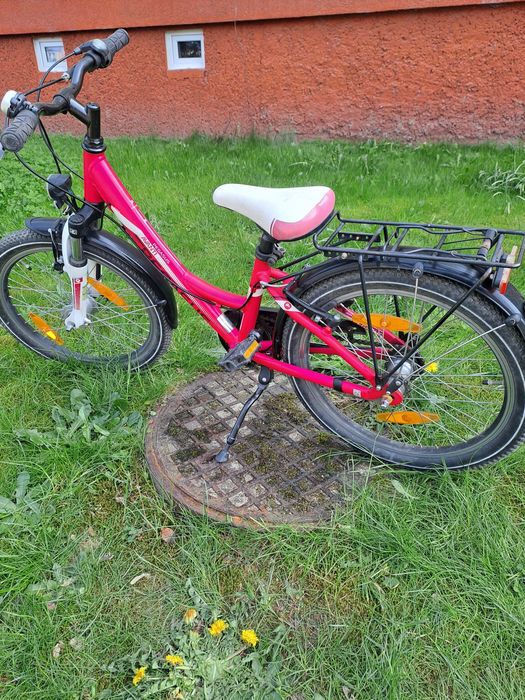 Rower 20cali Pegasus avanti