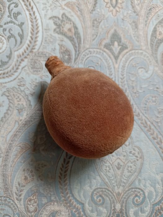 Madagaskar, owoc, baobab
