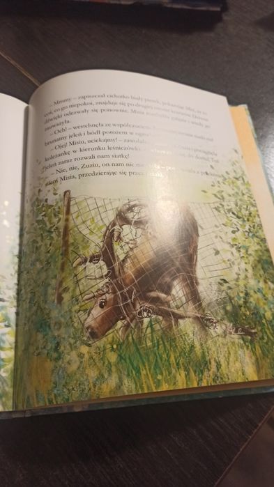 Misia i jej mali pacjenci Wyjazd na Mazury