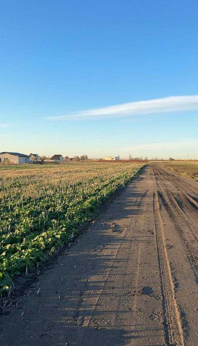 Земельна ділянка 12 соток в Фонтанкі, світло, вода, дорога є
