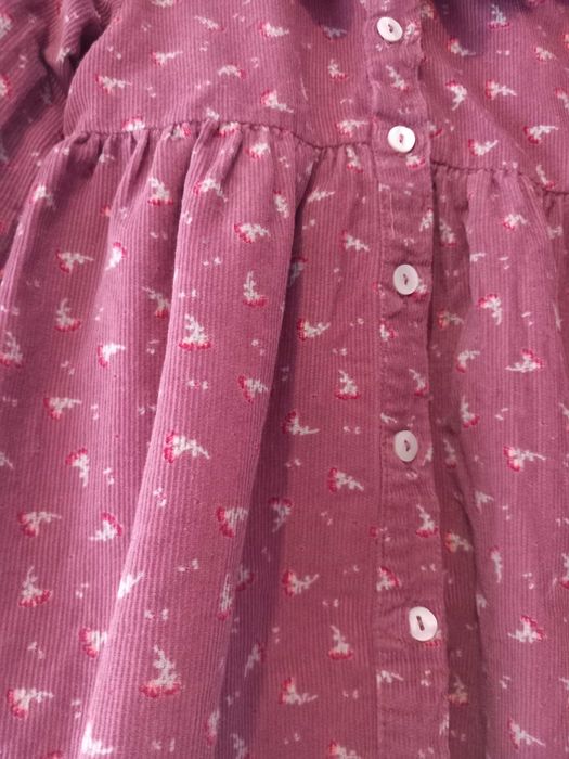 2 vestidos tamanho 18 a 24 meses