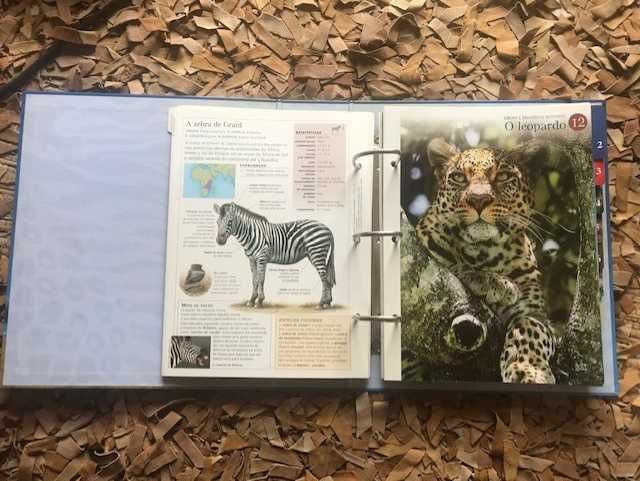 O Fascinante Mundo animal
