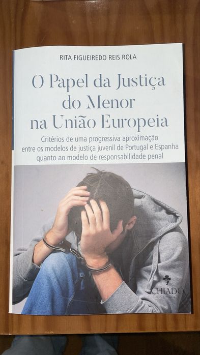 O papel da justiça do menor na uniao europeia