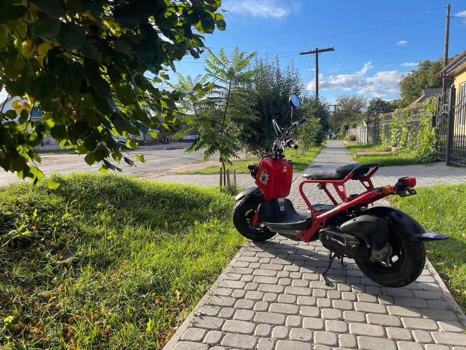 Honda Zoomer 50сс 4т