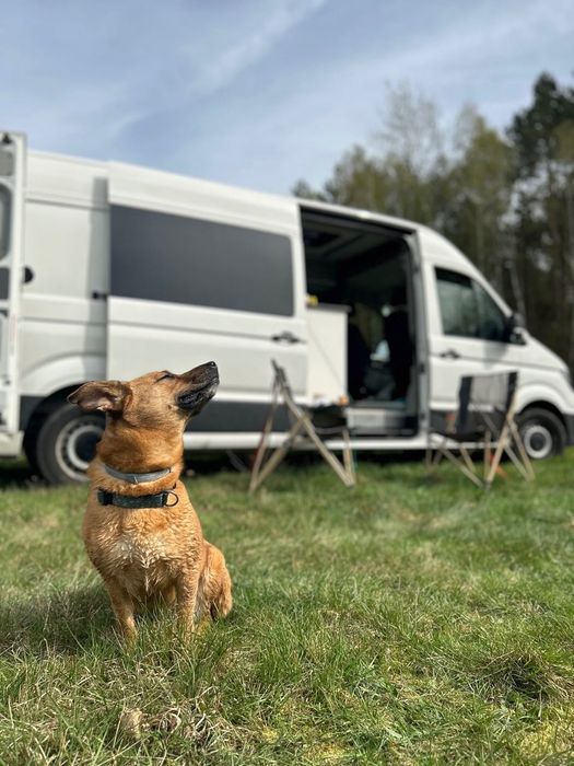 Kamper, camper van, Wynajem kampera Poznań