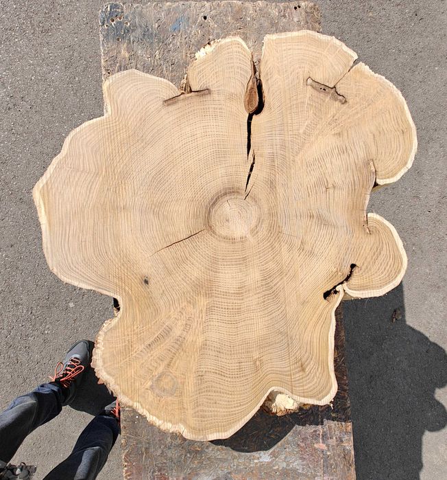 Plaster drewna akacja stolik kawowy live edge
