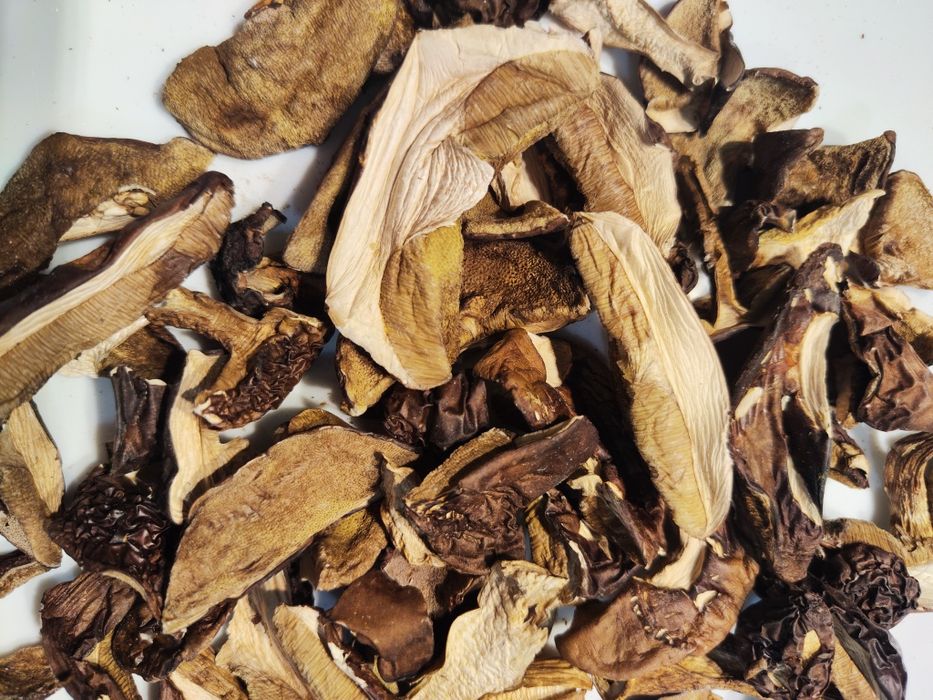 Suszone podgrzybki najwyższa jakość grzyby suszone