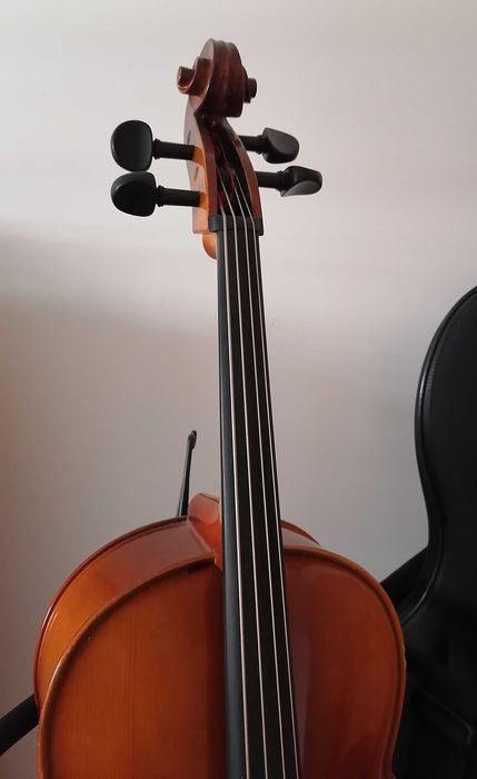 Violoncelo 1/4 Roth & Junius RJCE com caixa rígida e acessórios