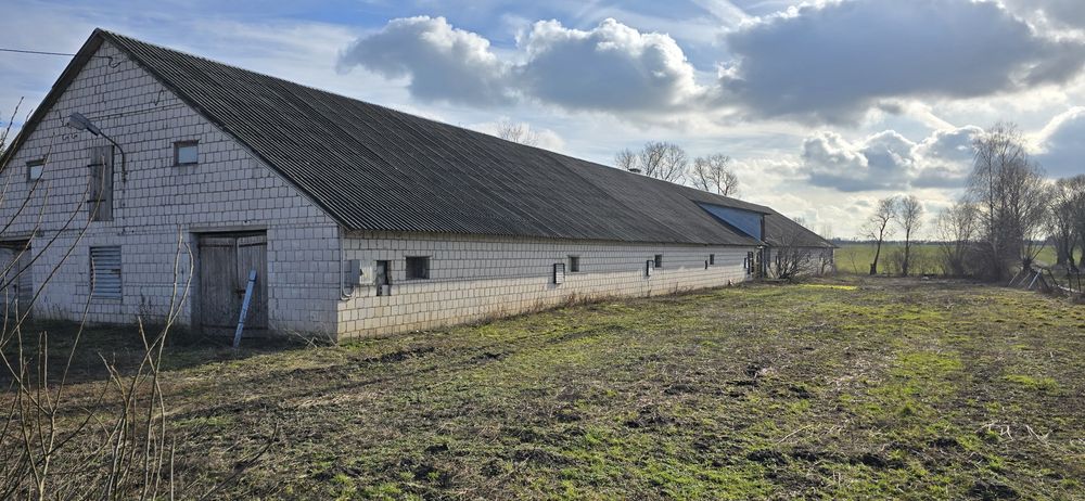 Budynek gospodarczy(kurnik)