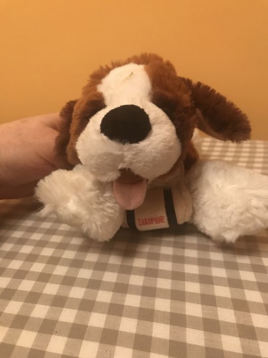 Pluszowy bernardyn z ZAKOPANEGO