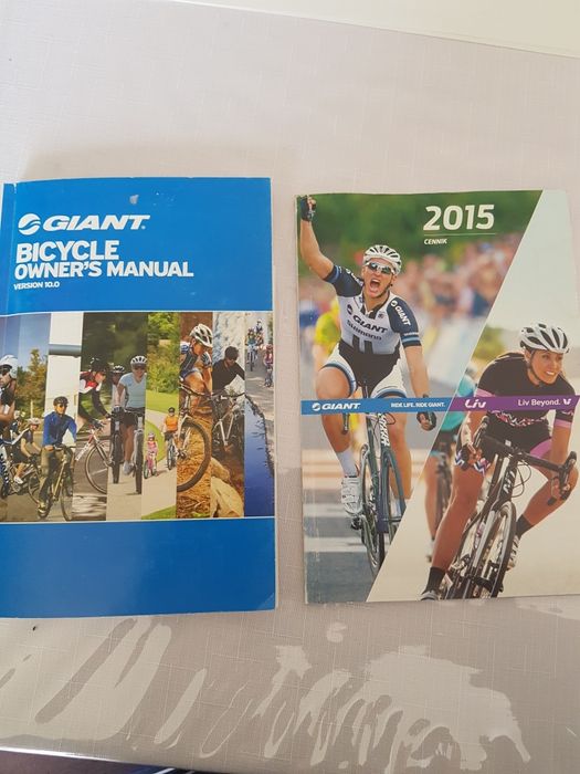 Rower Giant REVEL rozm S