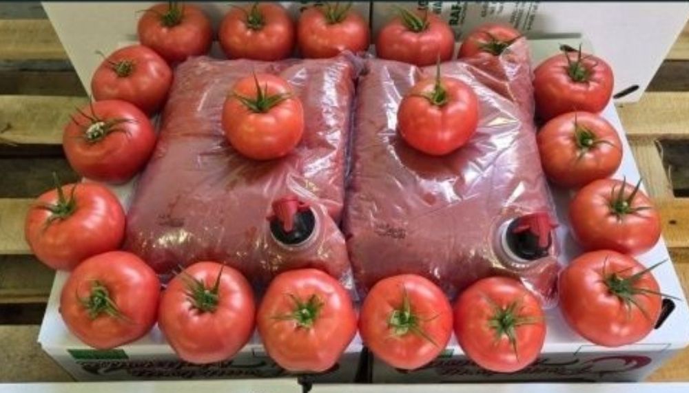 Sok pomidorowy 6x 3L