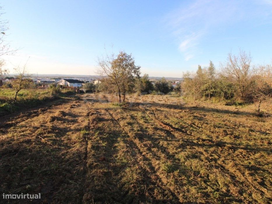 Terreno situado em Telhões, União das Freguesia de Taveiro, Ameal e...