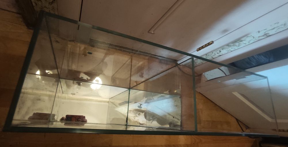 Террариум двойной , без крышки