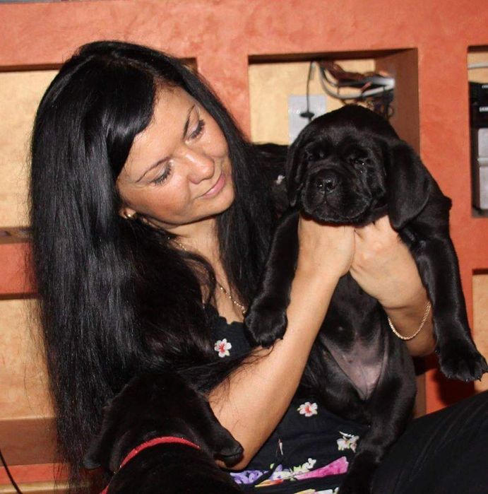 Pies z Profesjonalnej Hodowli ZKwP/ FCI