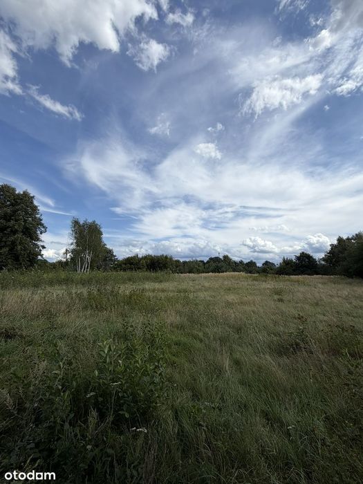 Zdjęcie 5