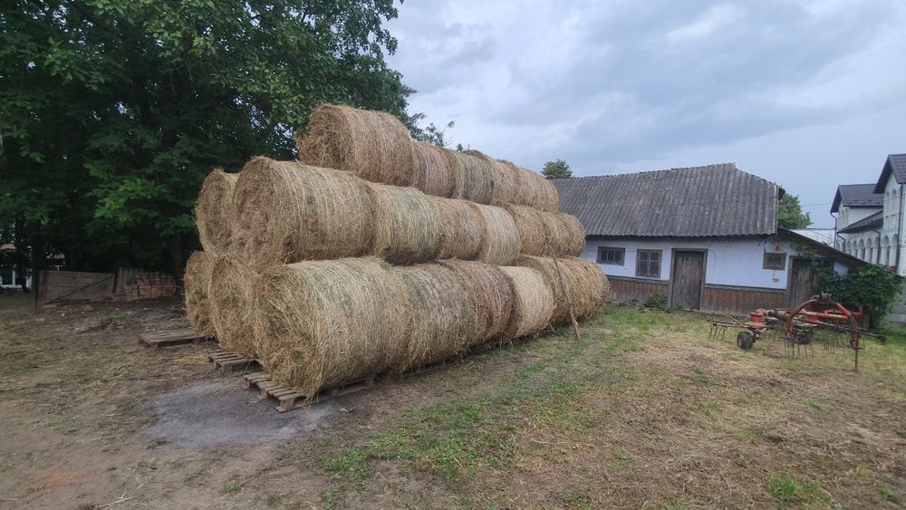 Продаю тюки з люцерни