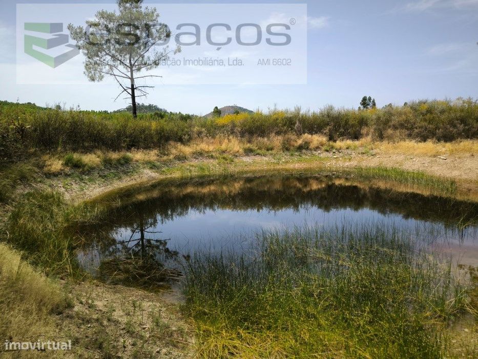 Quinta com 2 poços e barragem - Juncal do Campo