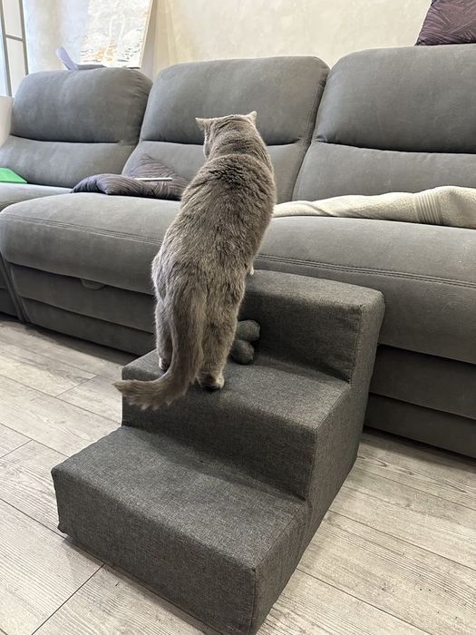 Сходинки для собак/ Прикроватные ступеньки